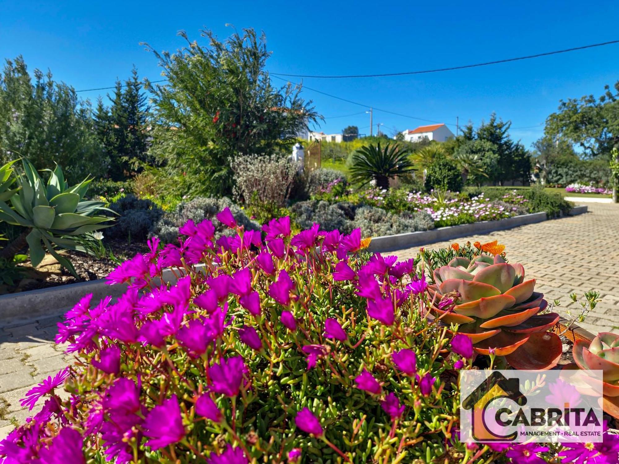 Quinta Dos Medronheiros Holiday home